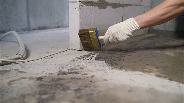 24/7 Emergency Wet Basement Repair experts in Lexington, MI